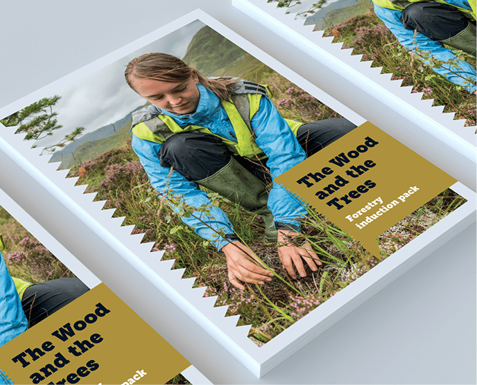 Cunningly Good Group Marketing Agency Perth, Scotland – visual of The Wood and the Trees forestry induction pack.