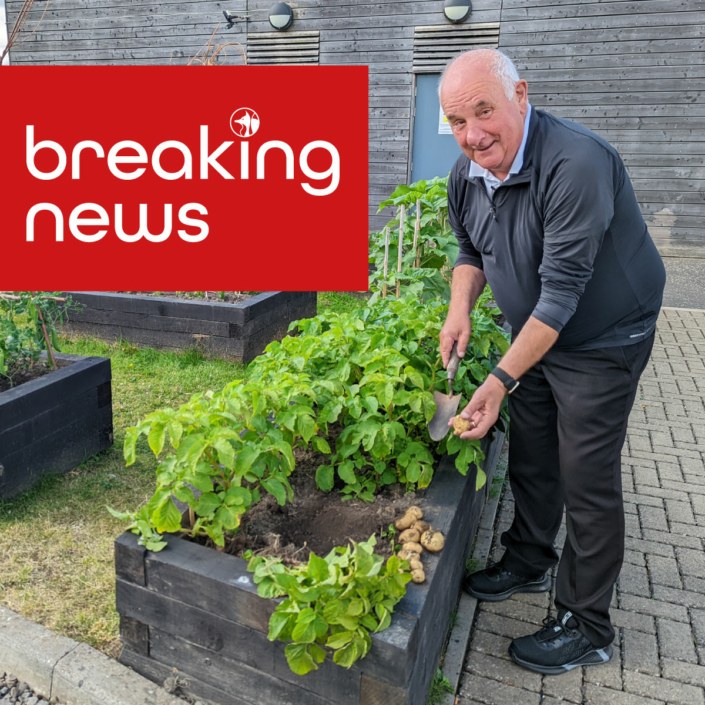 CG-Breaking-News-Kitchen