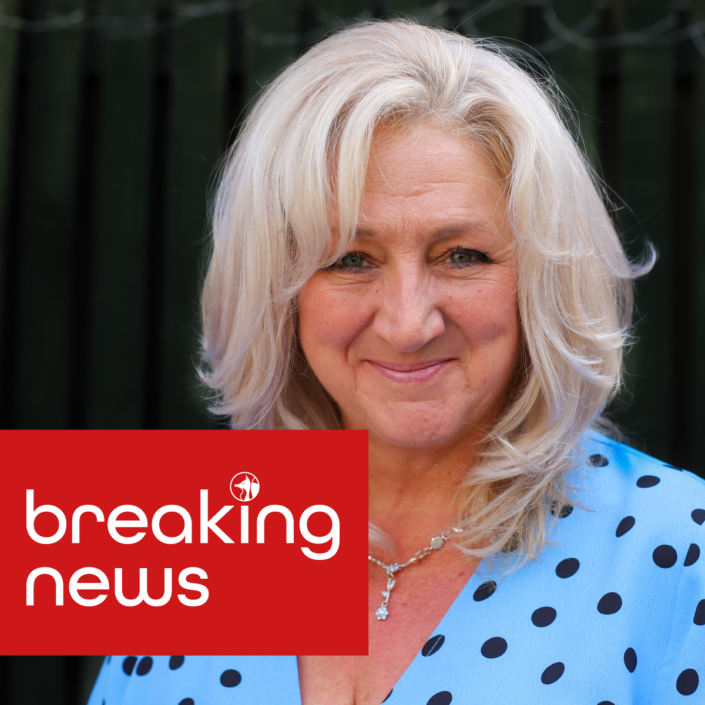 CG-Breaking-News-SH