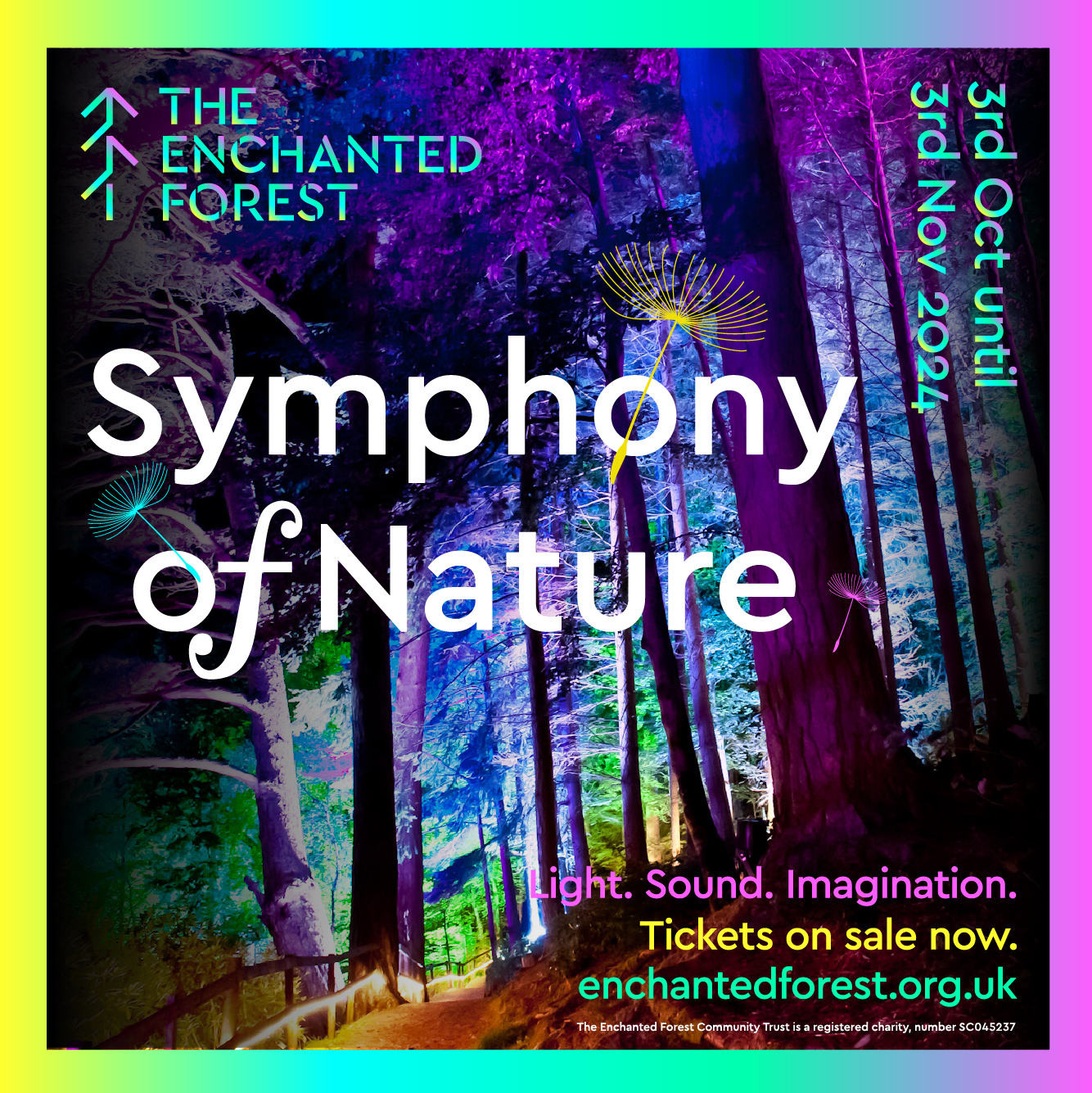 Public Relations Agency Scotland - Cunningly Good Group - visual of The Enchanted Forest Symphony of Nature show visuals 2024