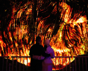 Cunningly Good Group PR agency - Couple embracing while admiring an immersive light installation at The Enchanted Forest 2025.