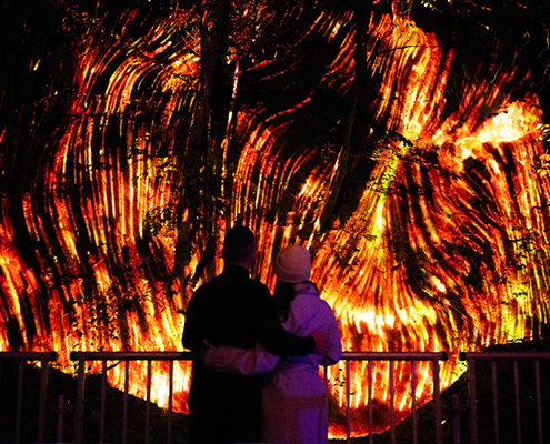 Cunningly Good Group PR agency - Couple embracing while admiring an immersive light installation at The Enchanted Forest 2025.