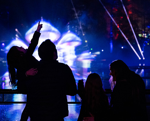 Cunningly Good Group PR agency - Visitors watching a glowing light installation at night during The Enchanted Forest 2025 campaign.