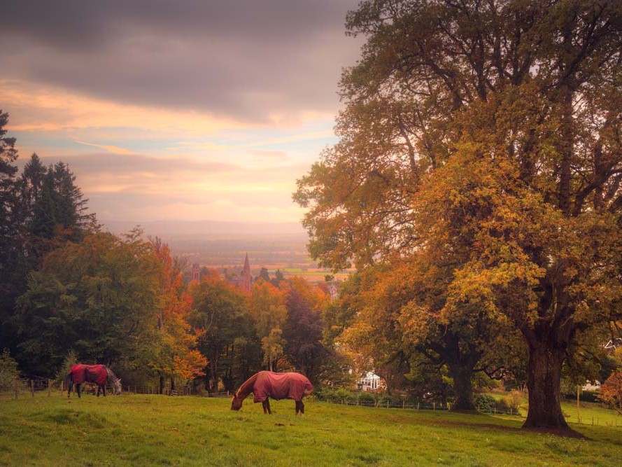 Public Relations Agency Perthshire - Cunningly Good Group - Visit Crieff Tourism Marketing Campaign